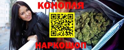 стаф Владимир
